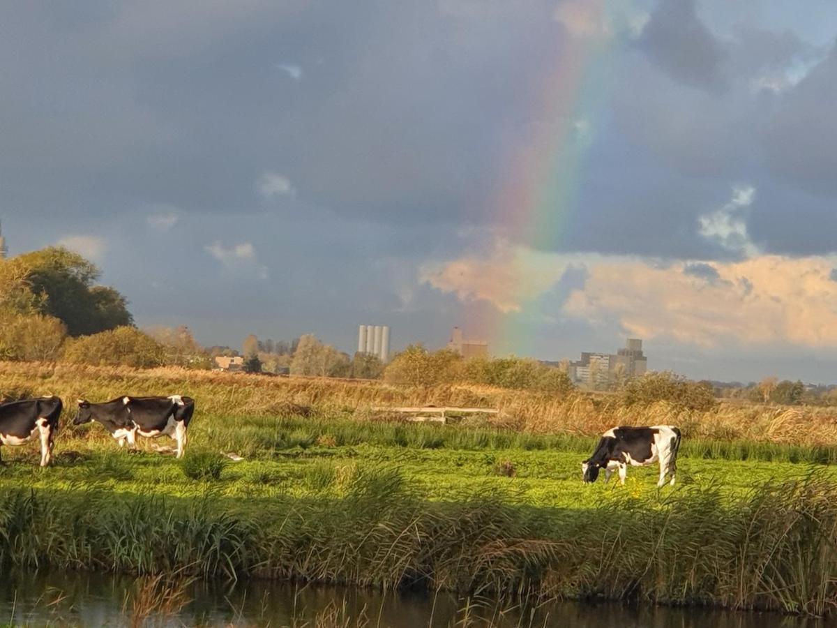 Walvisch Van Ghyspe Wormer Buitenkant foto
